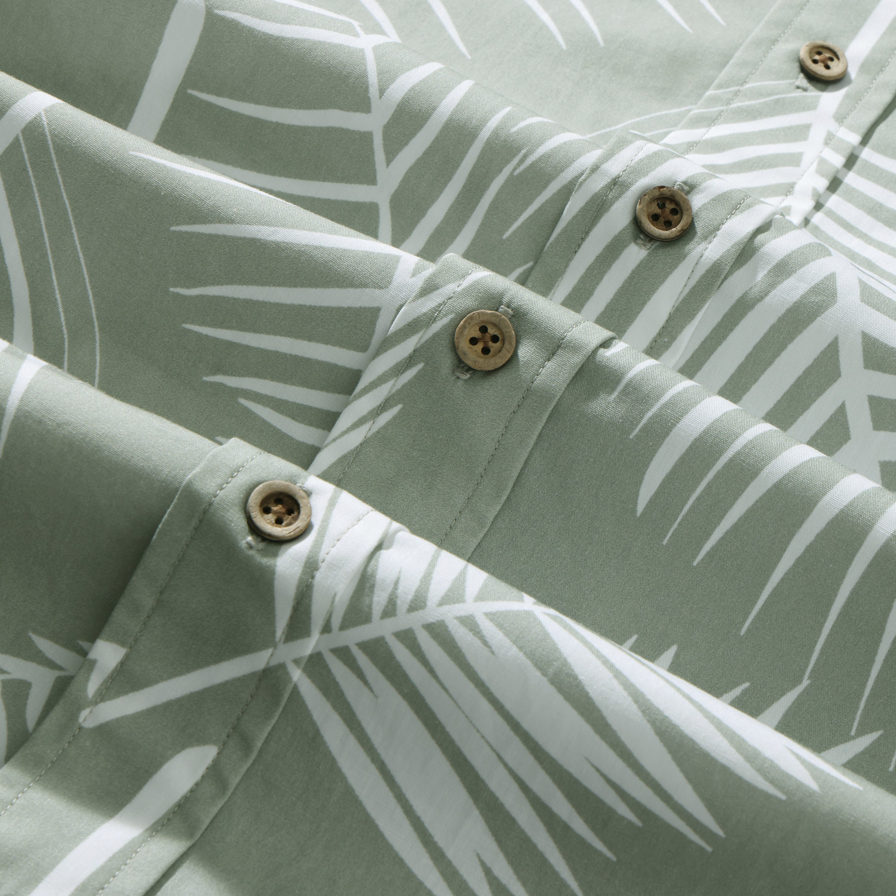 Tropical Leaf Palms