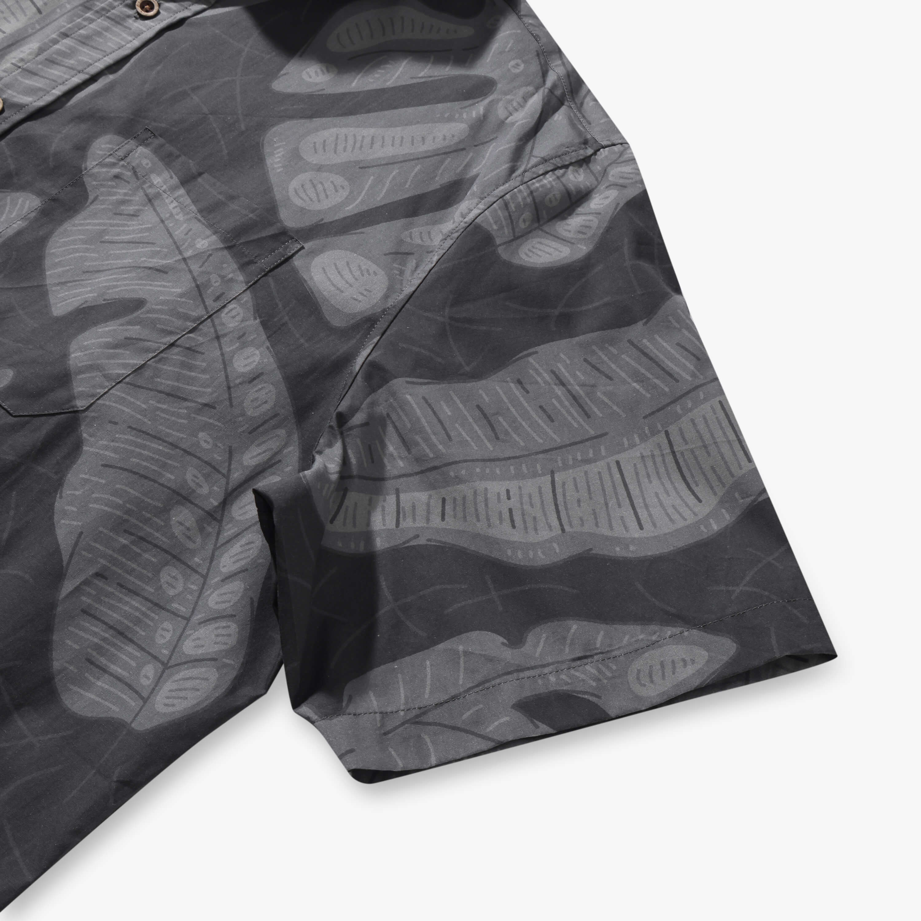 Tropical leaves