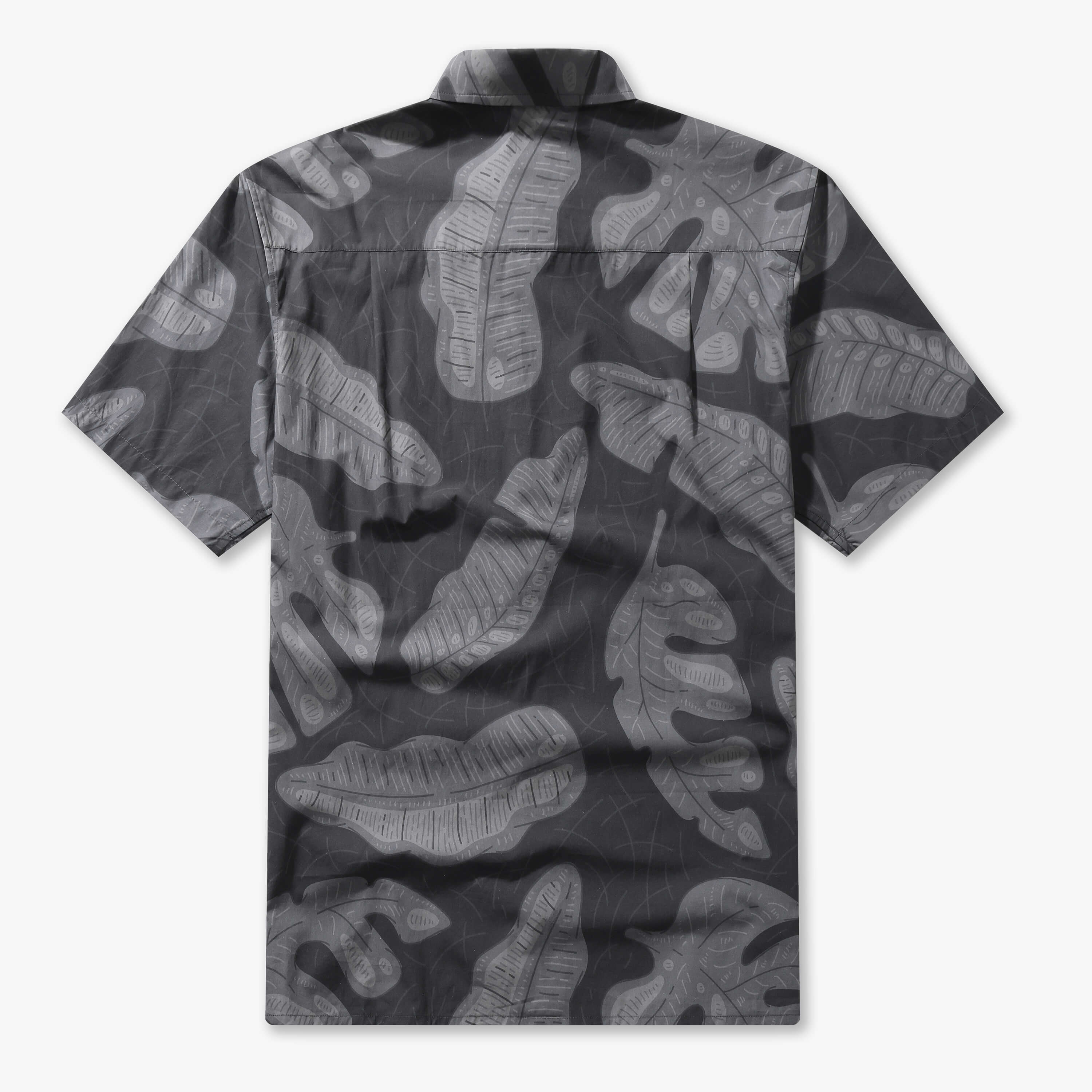 Tropical leaves