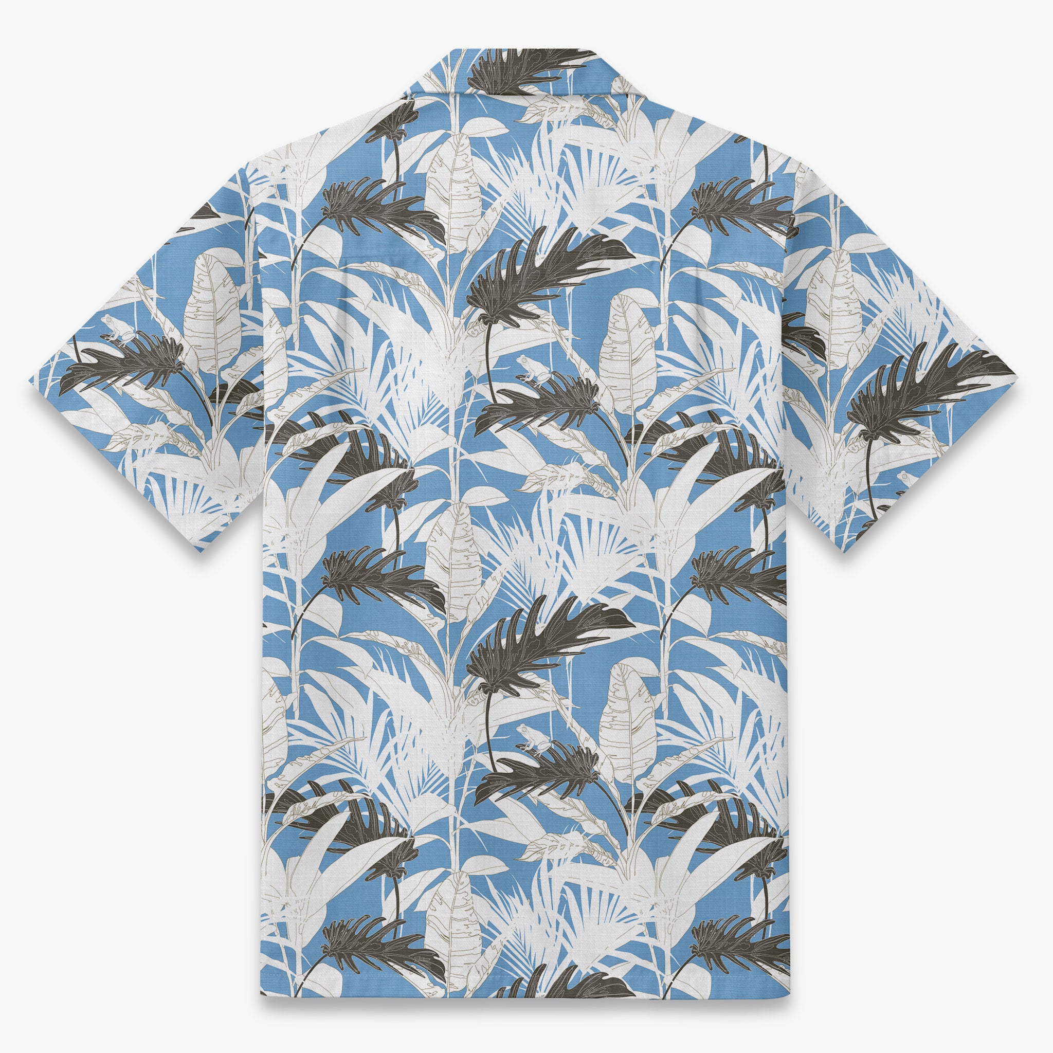 Agave Oasis Botanical Print