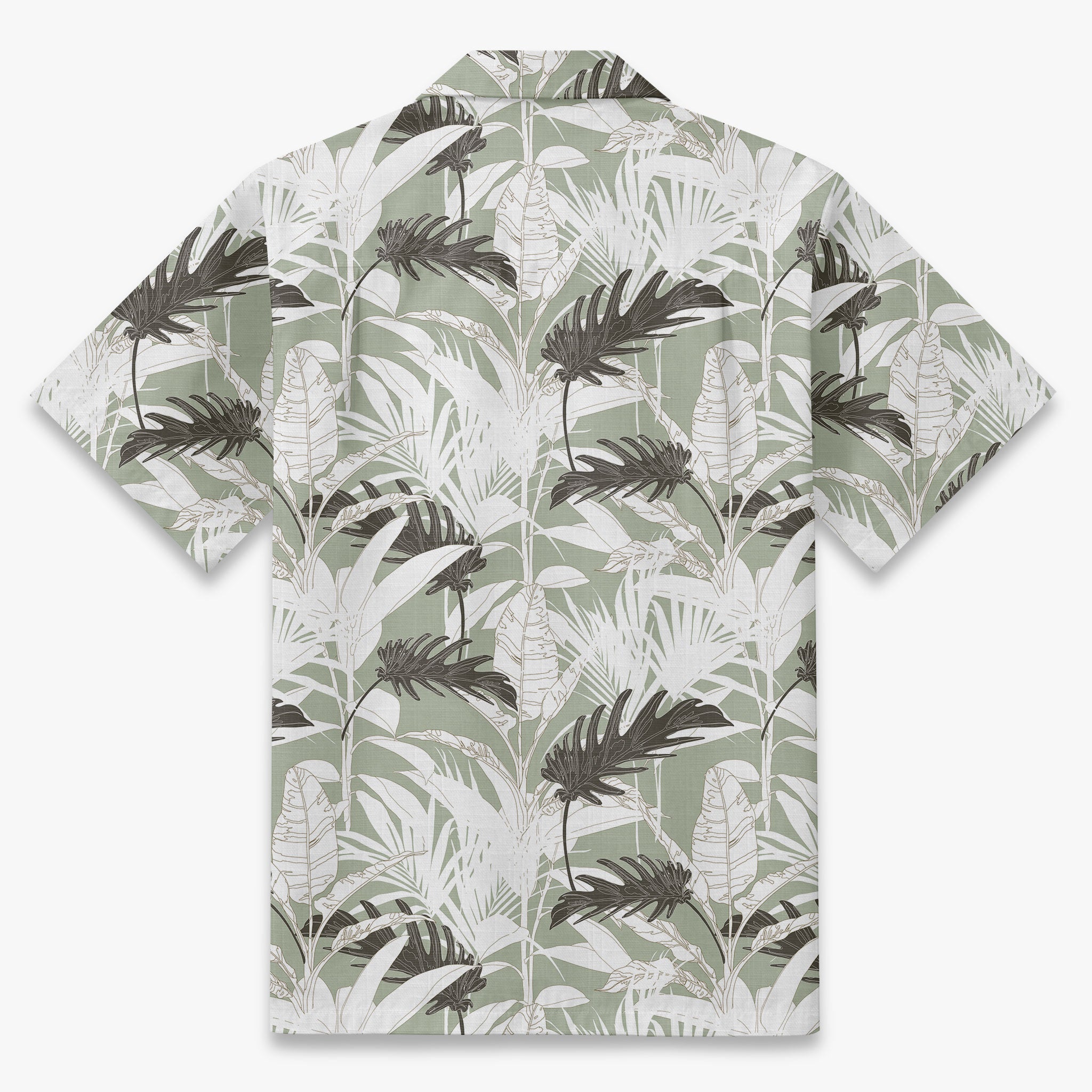 Agave Oasis Botanical Print