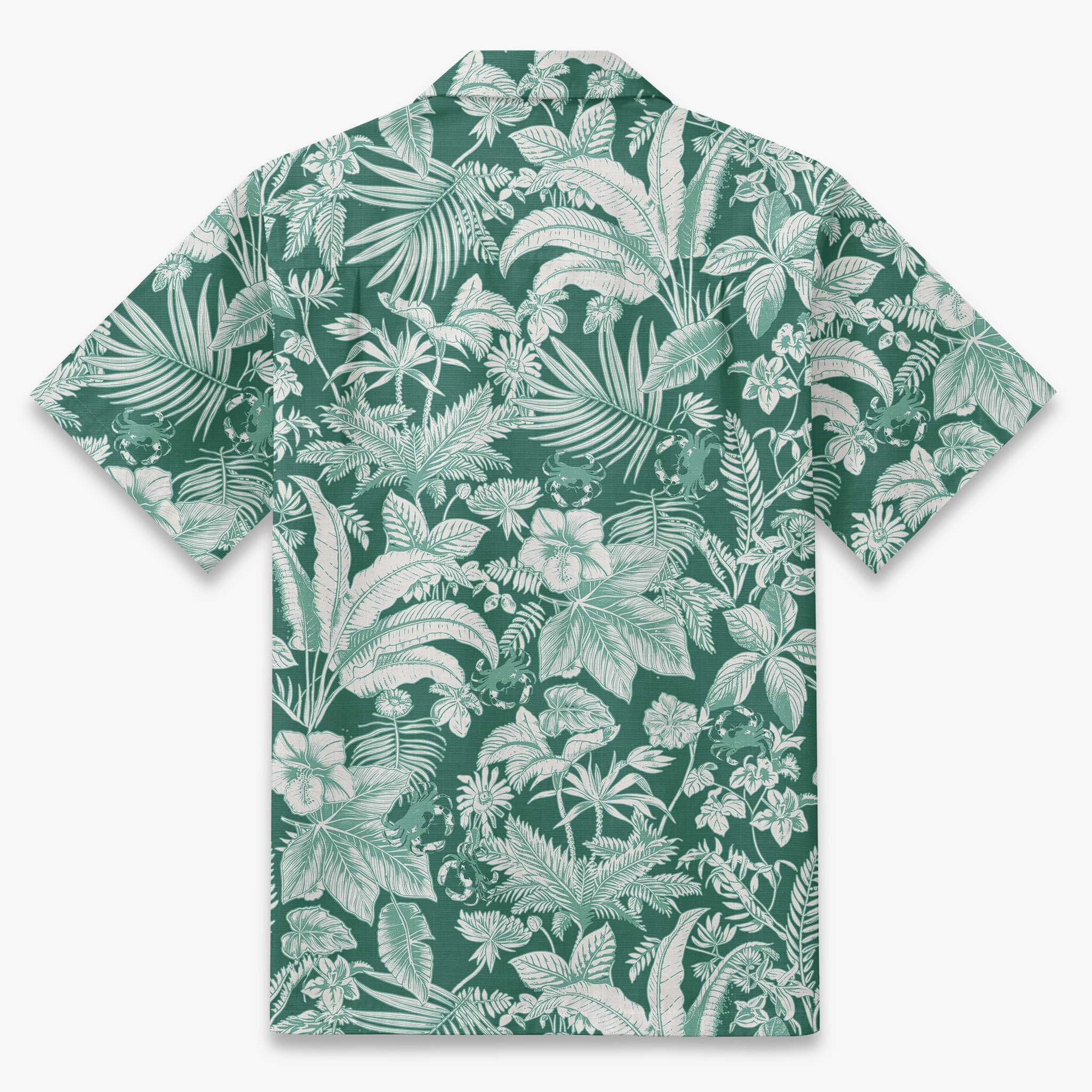 The Botanical Conservatory