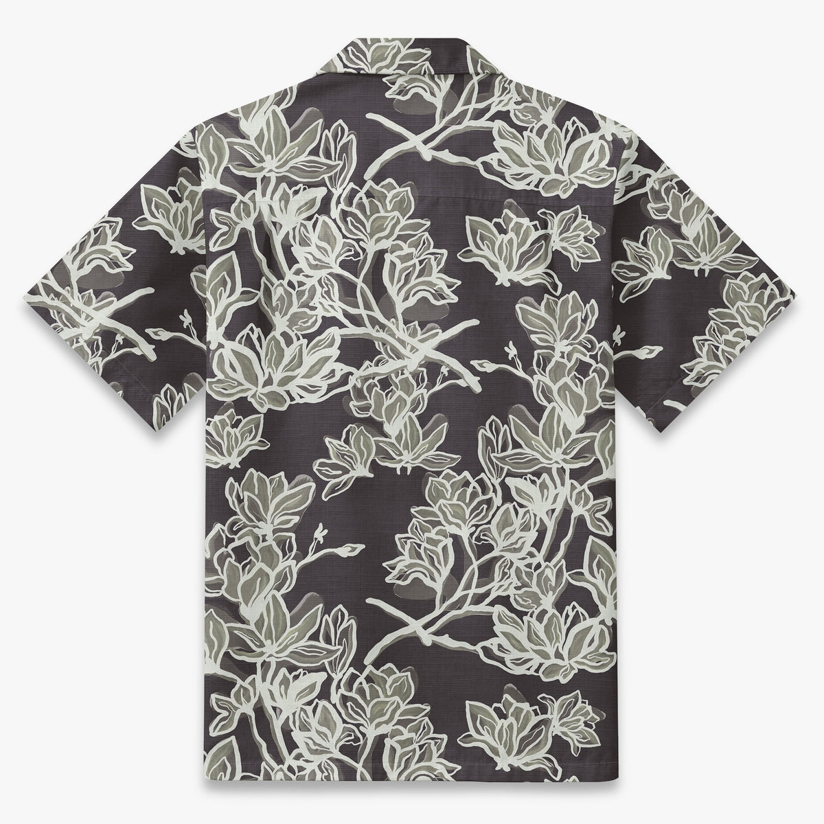 Magnolia Drift