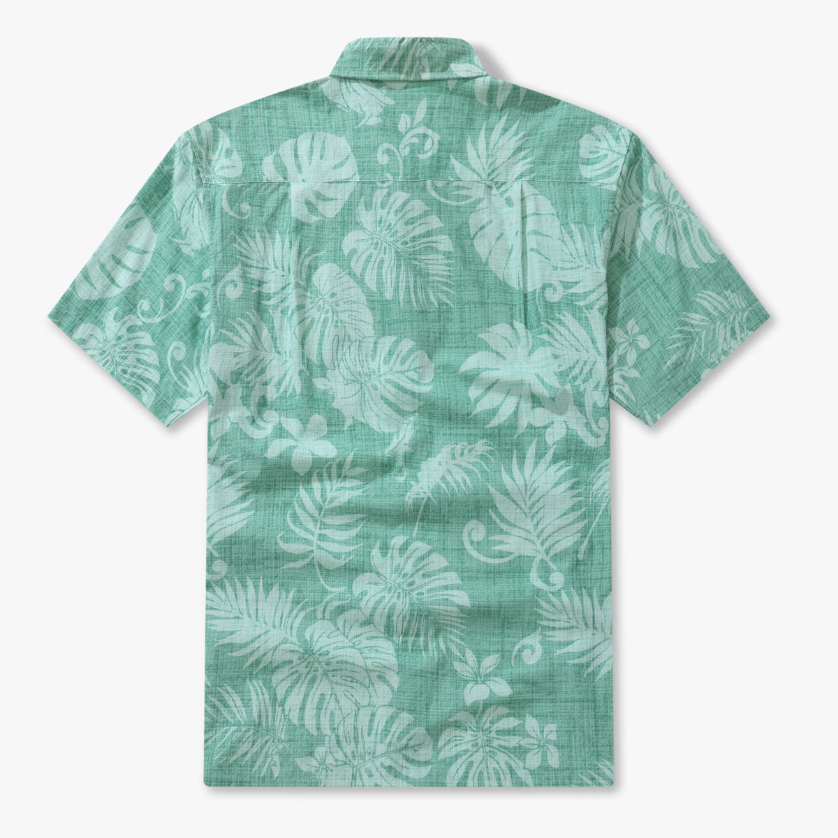 Monstera Mirage
