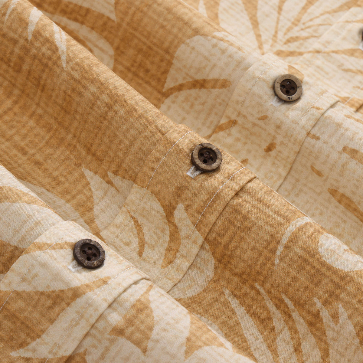 Monstera Mirage