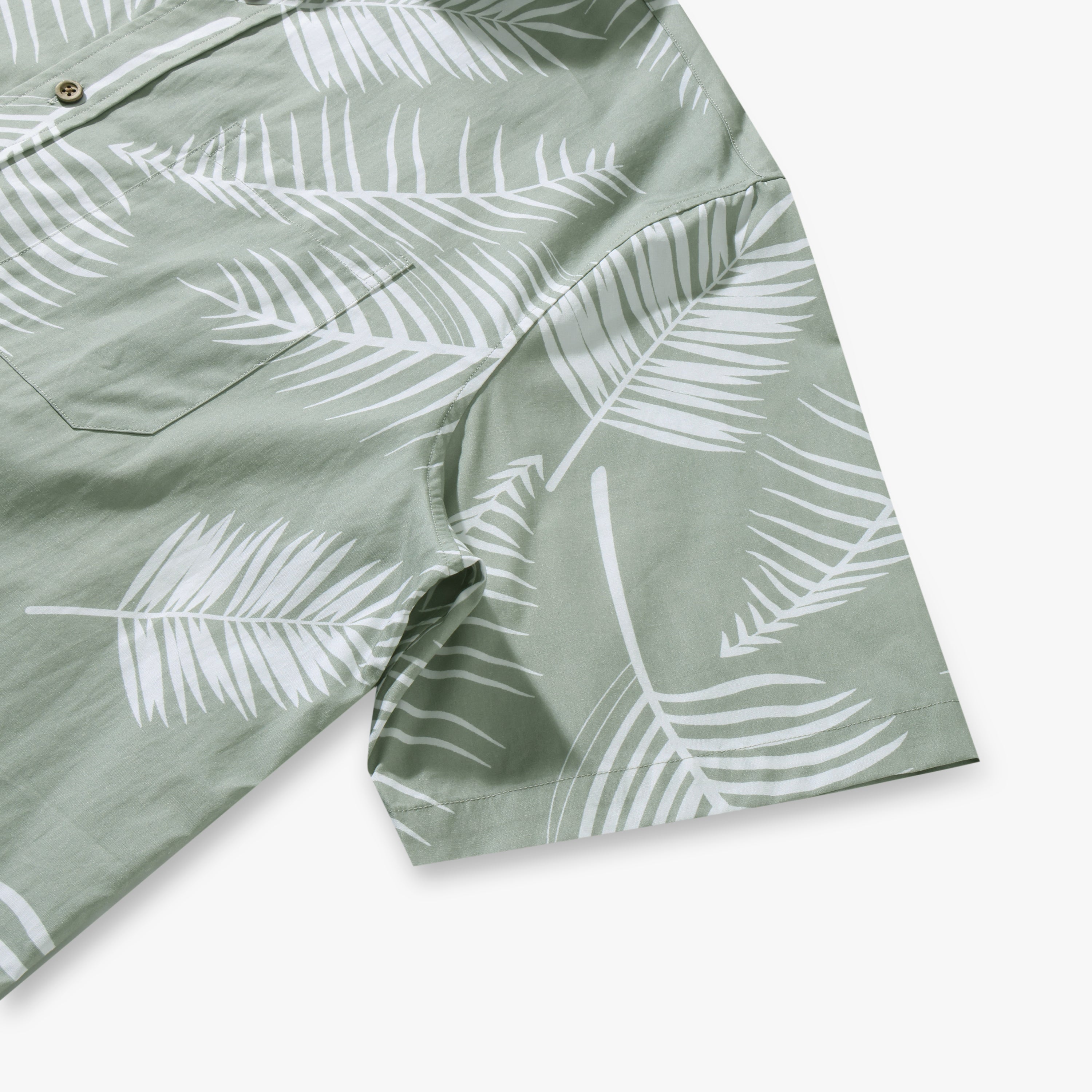 Tropical Leaf Palms