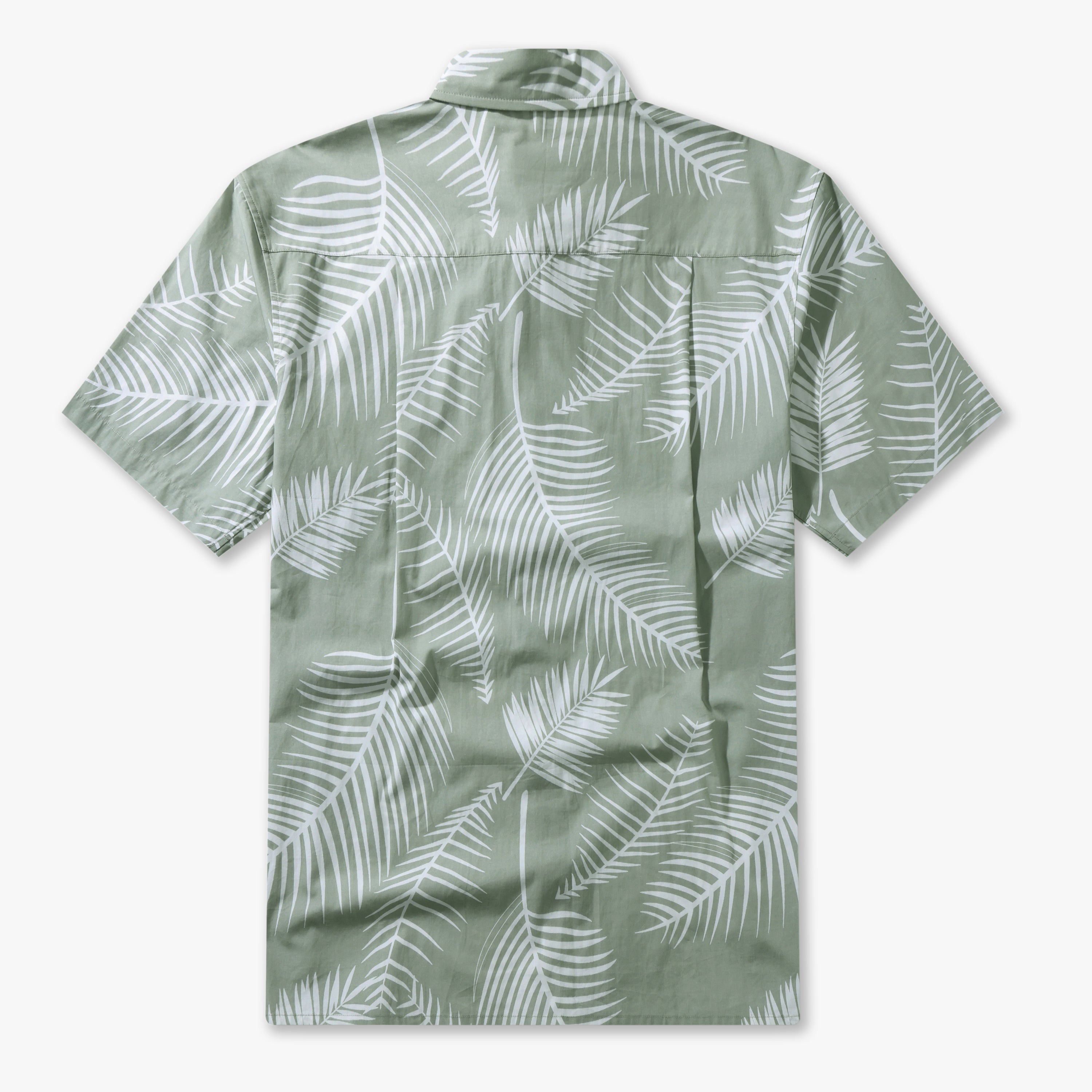 Tropical Leaf Palms