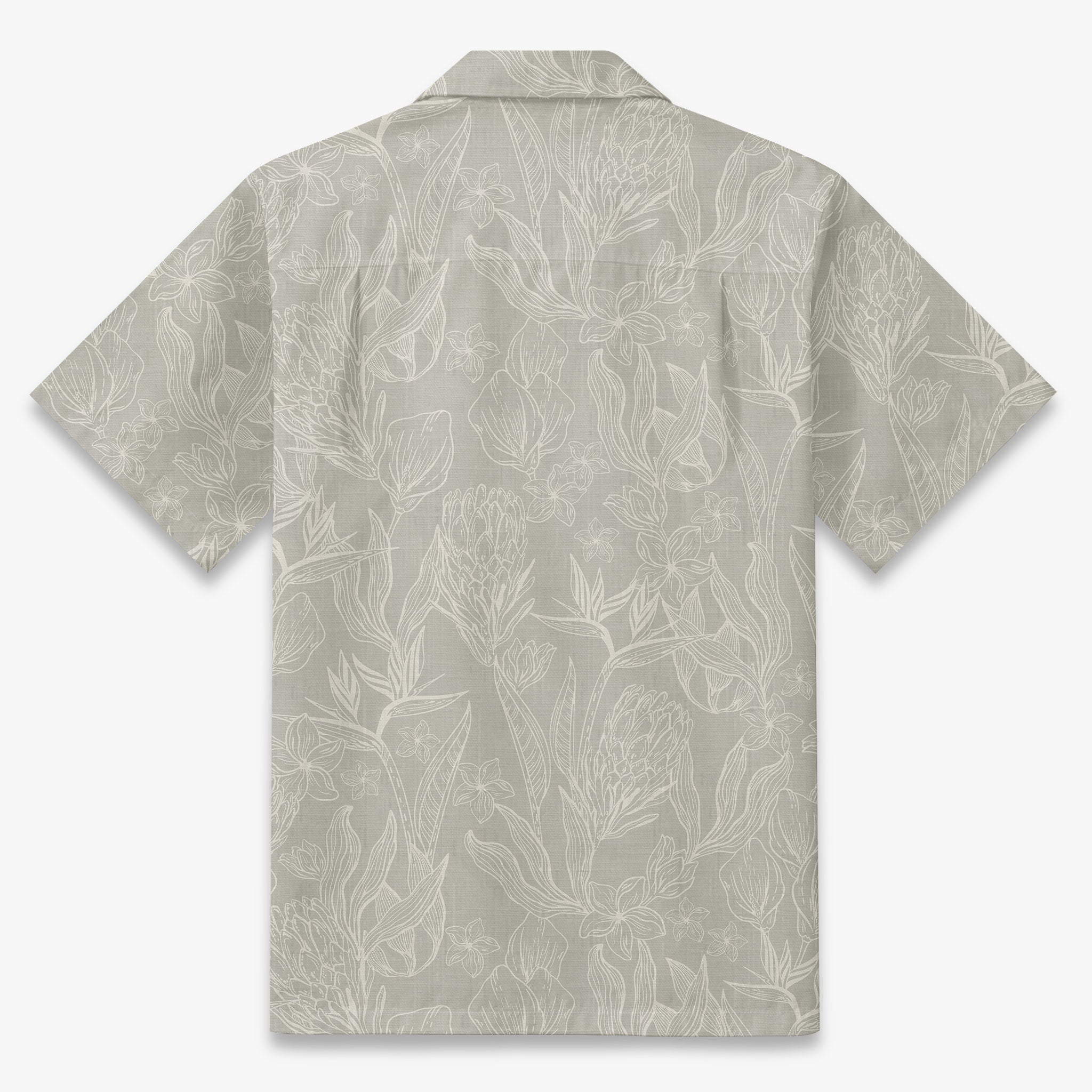 Coastal Protea Sketch