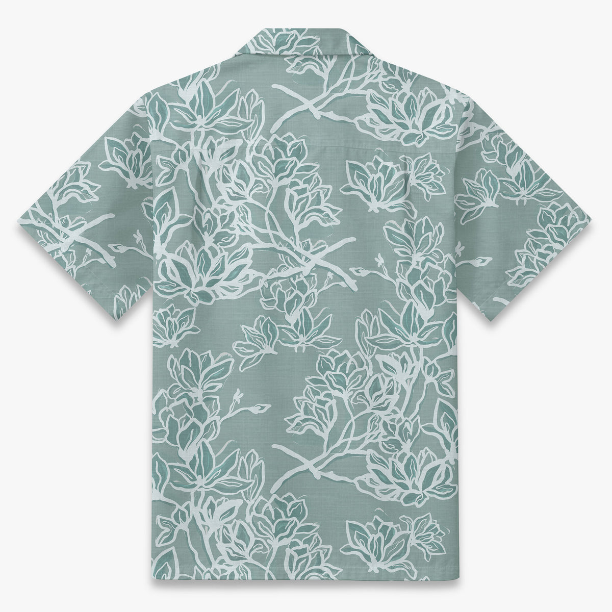 Magnolia Drift