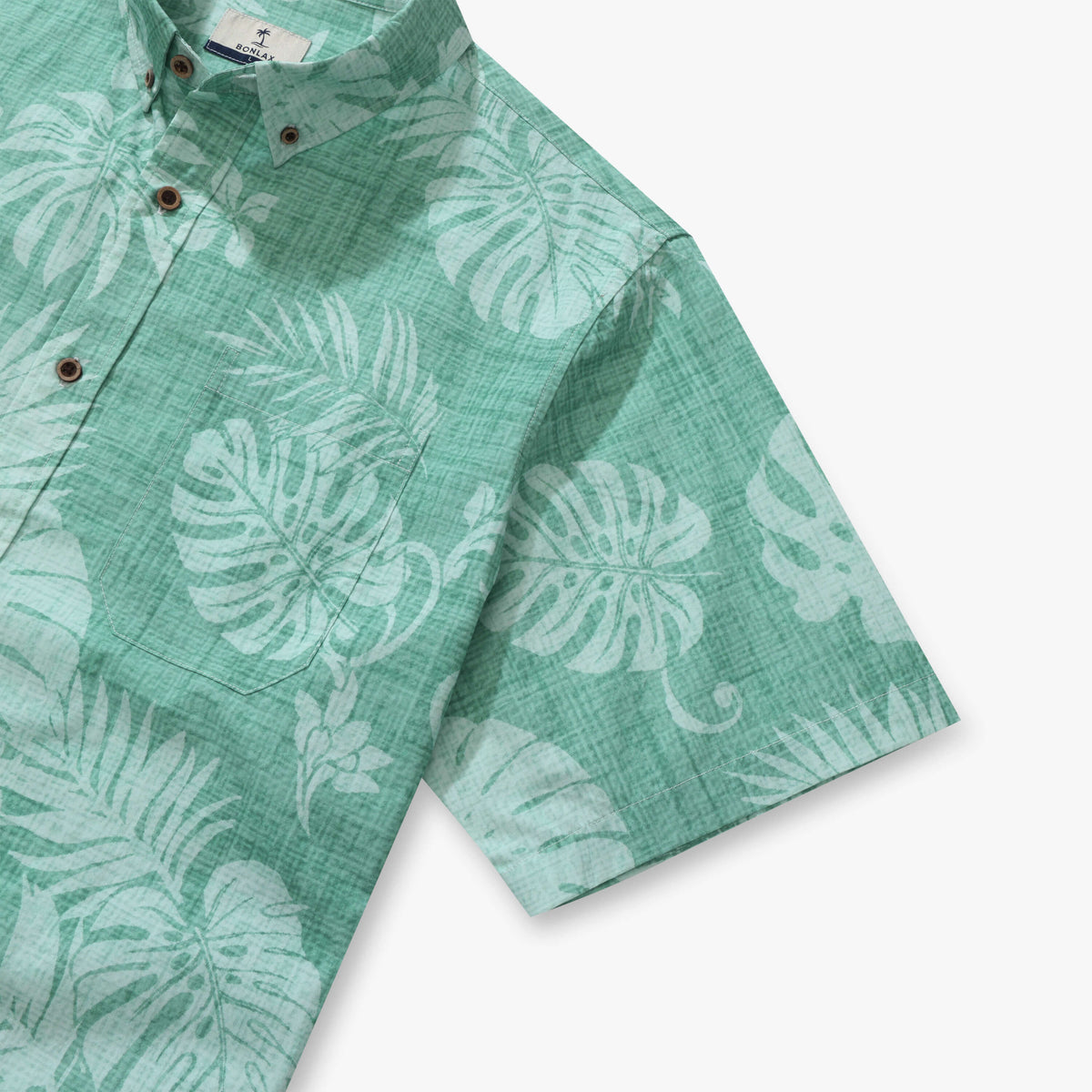 Monstera Mirage 