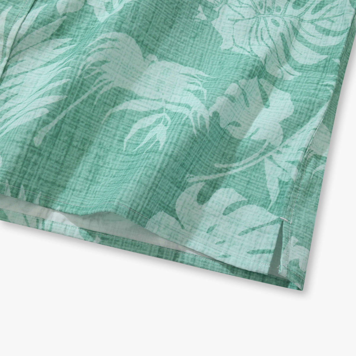 Monstera Mirage 