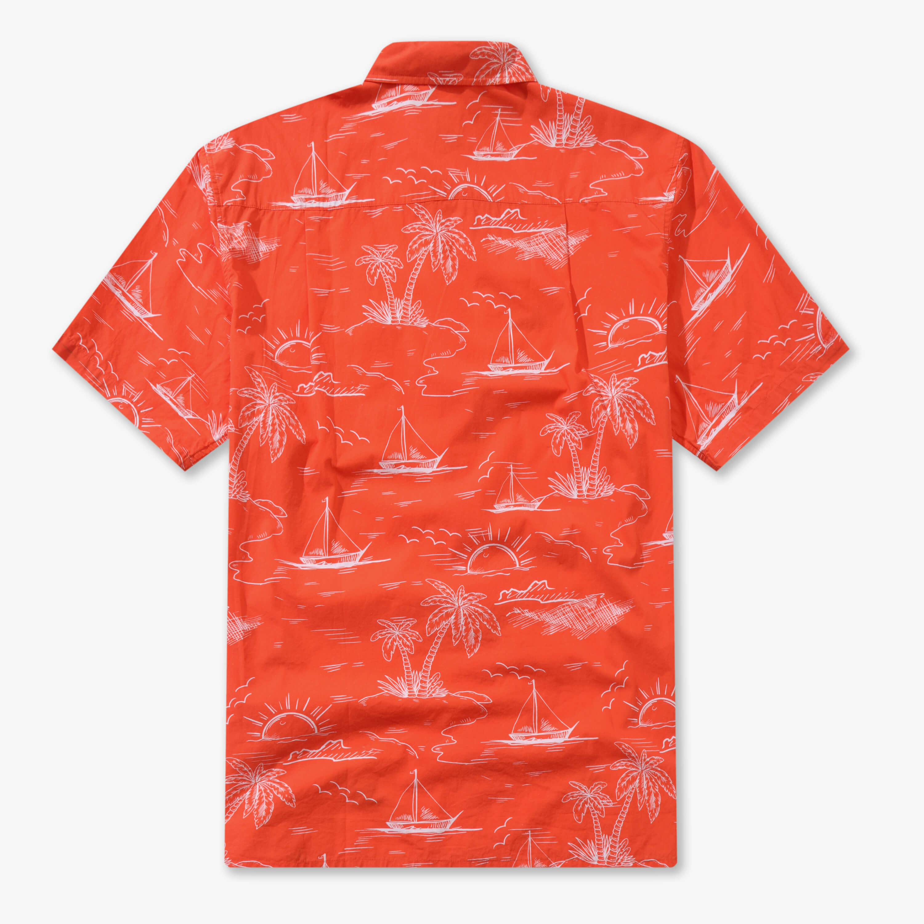 Coconut Tree Sunset