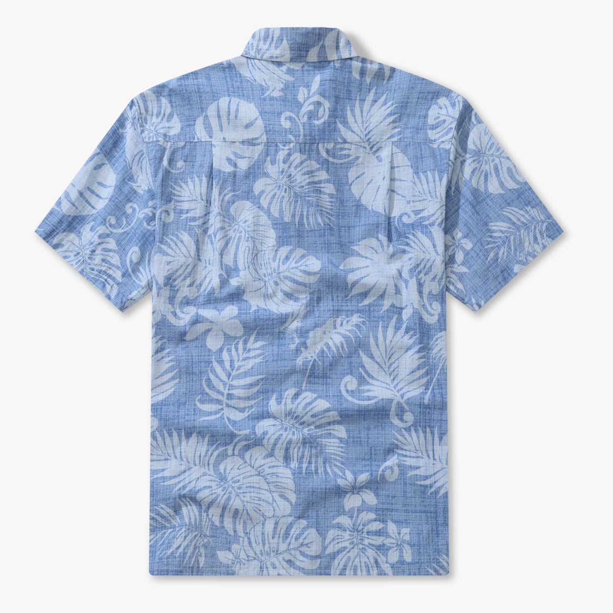 Monstera Mirage 