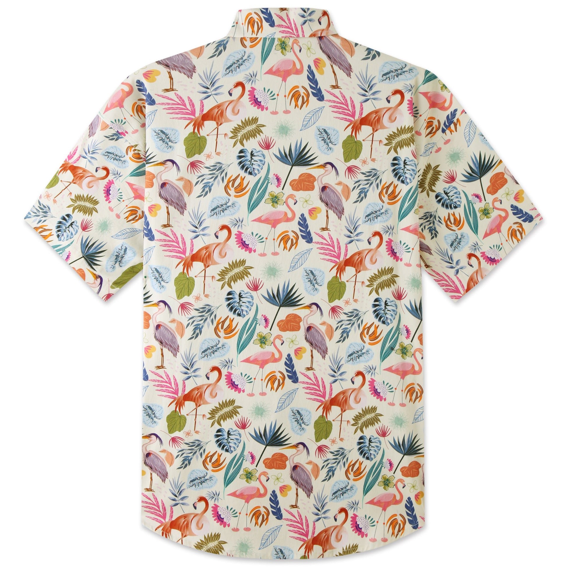 Flamingo - Bonlax